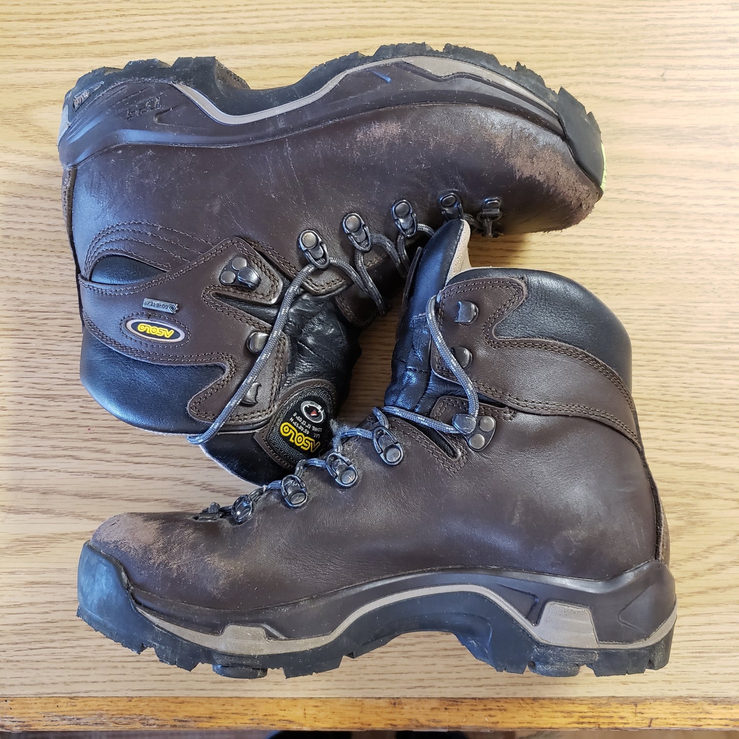 Asolo TPS 520 GV Hiking Boots