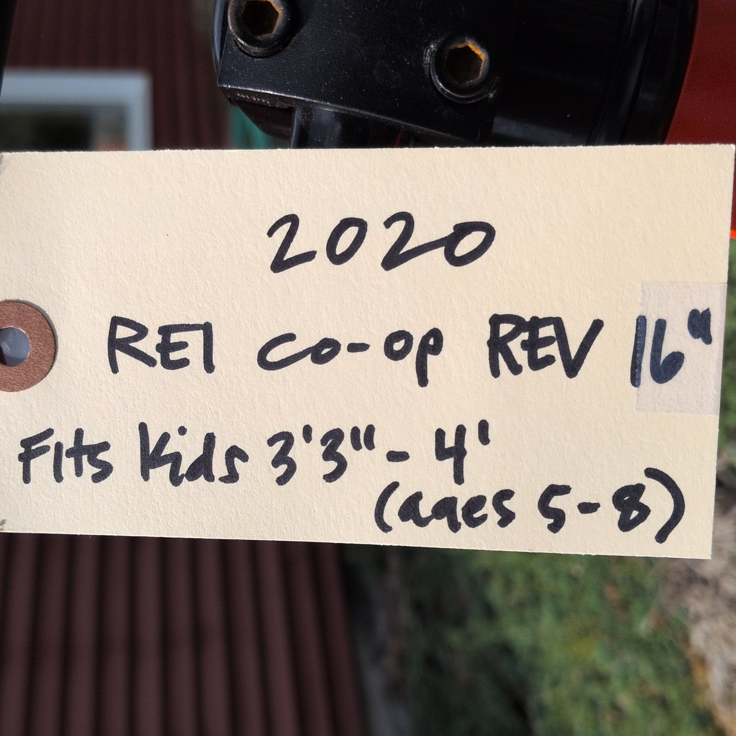 REI Co-op REV 16" Bike (2020)