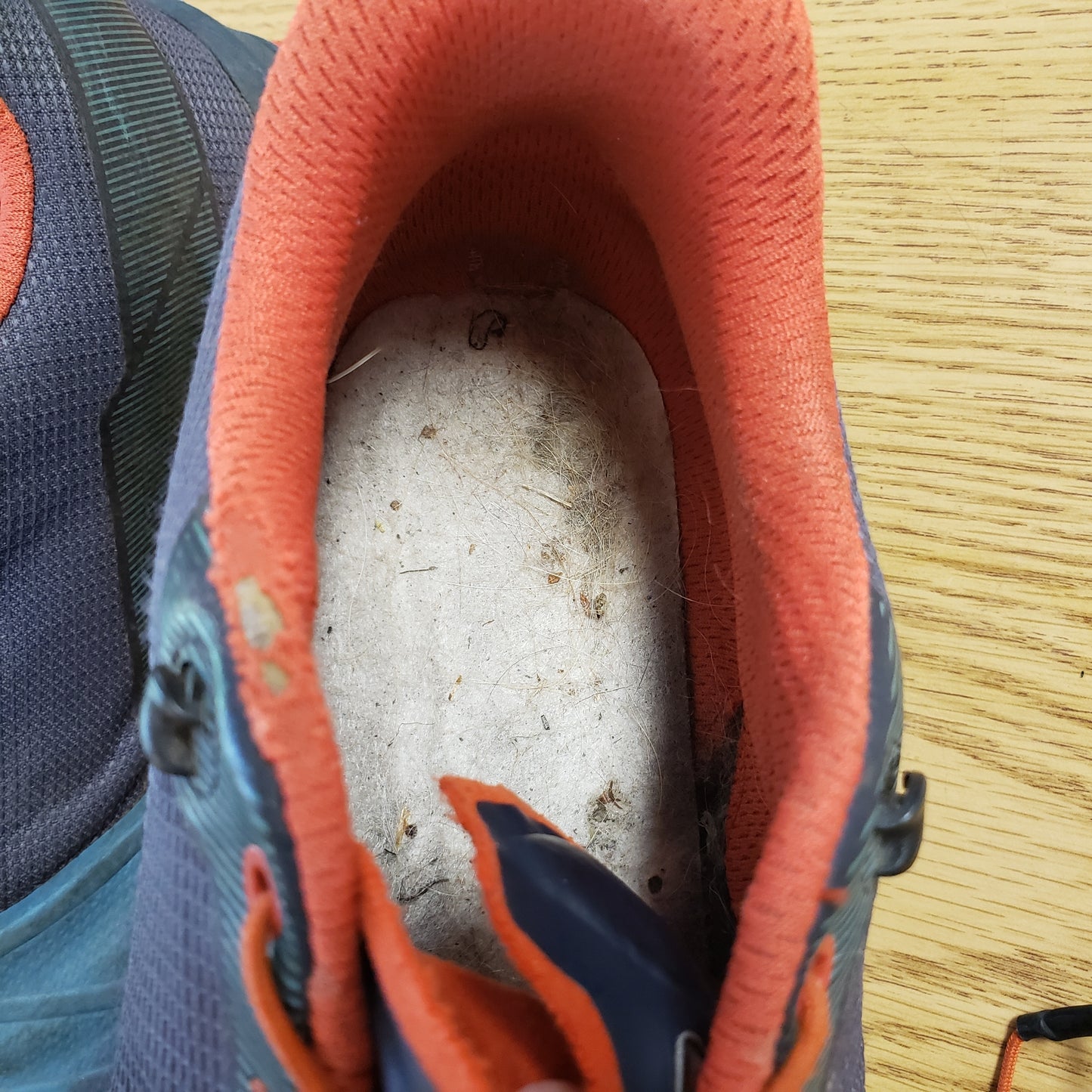Dynafit Transalper Trail Sneaker*