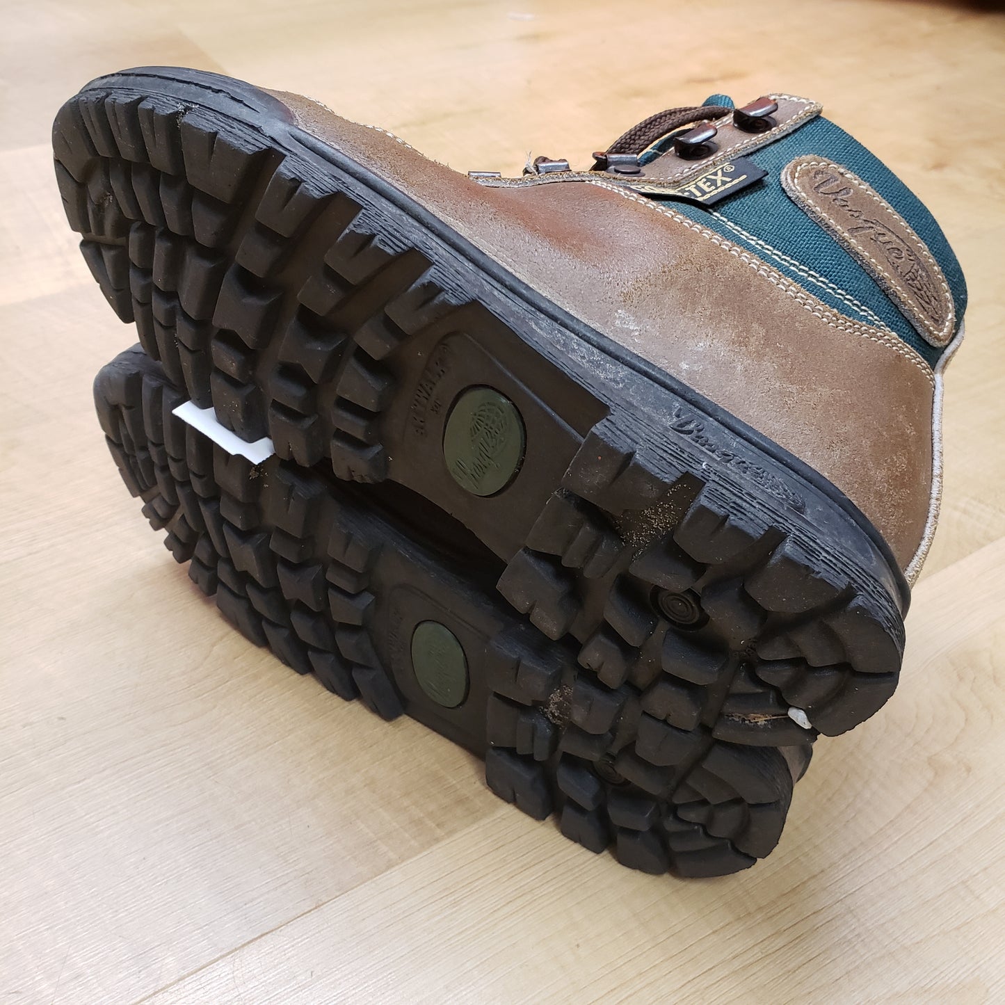 Vasque Skywalk GTX Hiking Boots