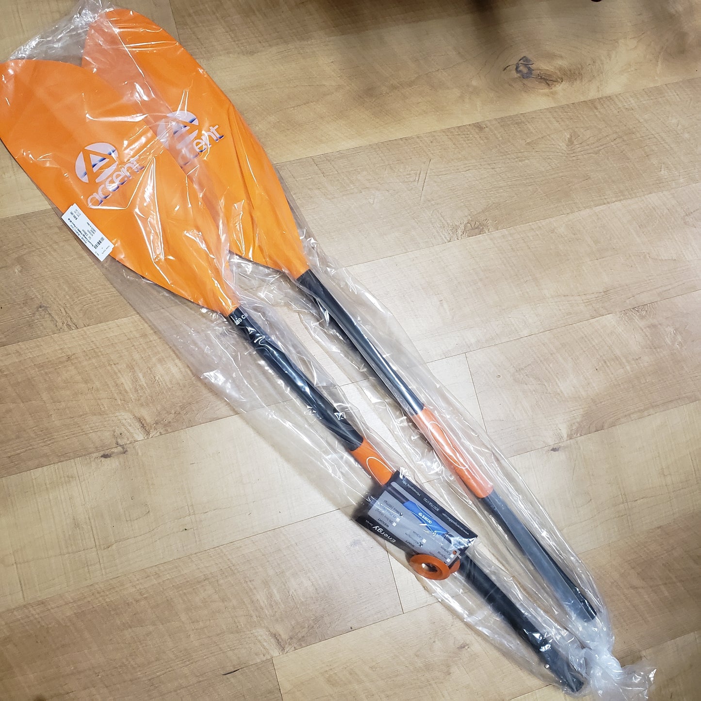 Accent Energy Paddle 2 Piece NEW