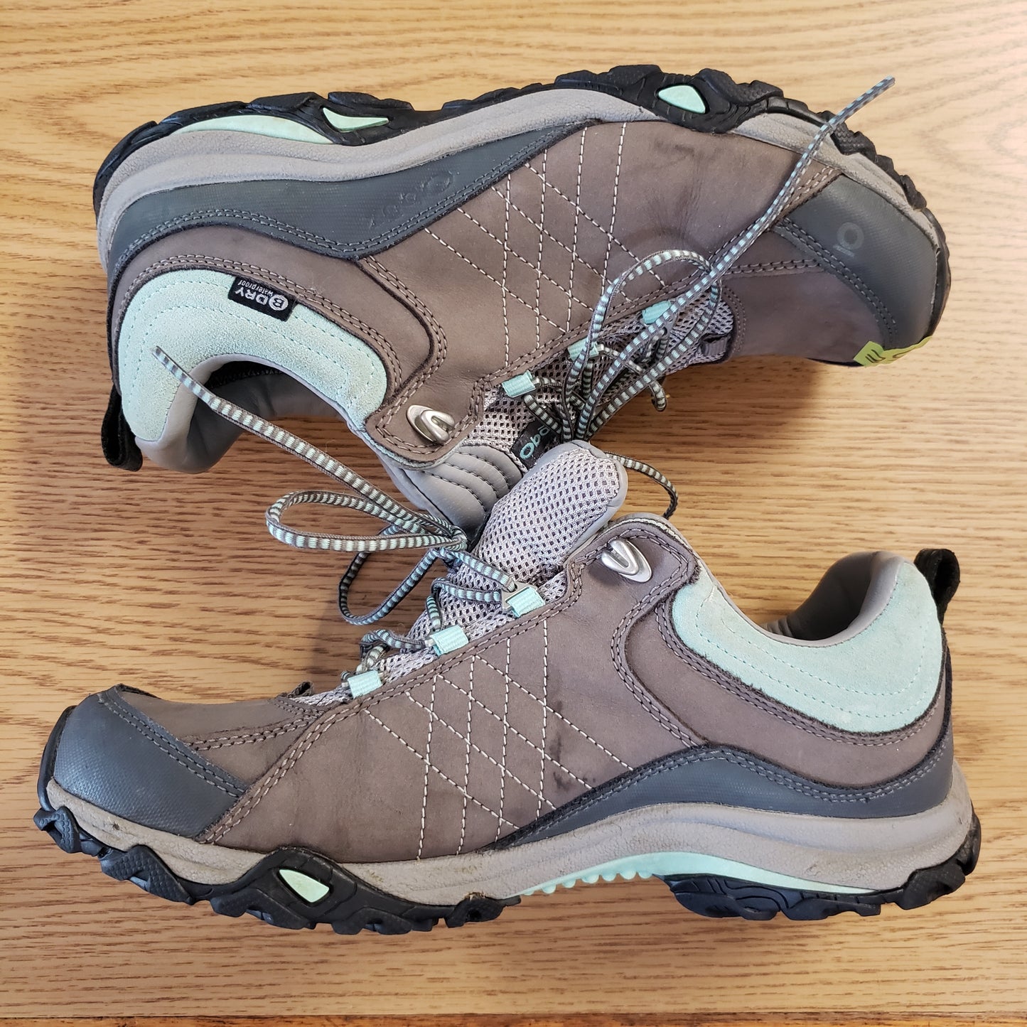 Oboz Sapphire Low Hiker