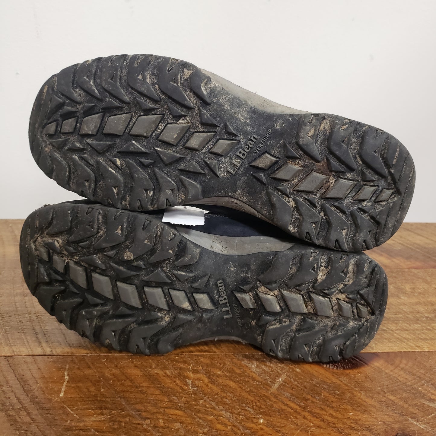 LLBean Tek 2.5 Hiking Boots