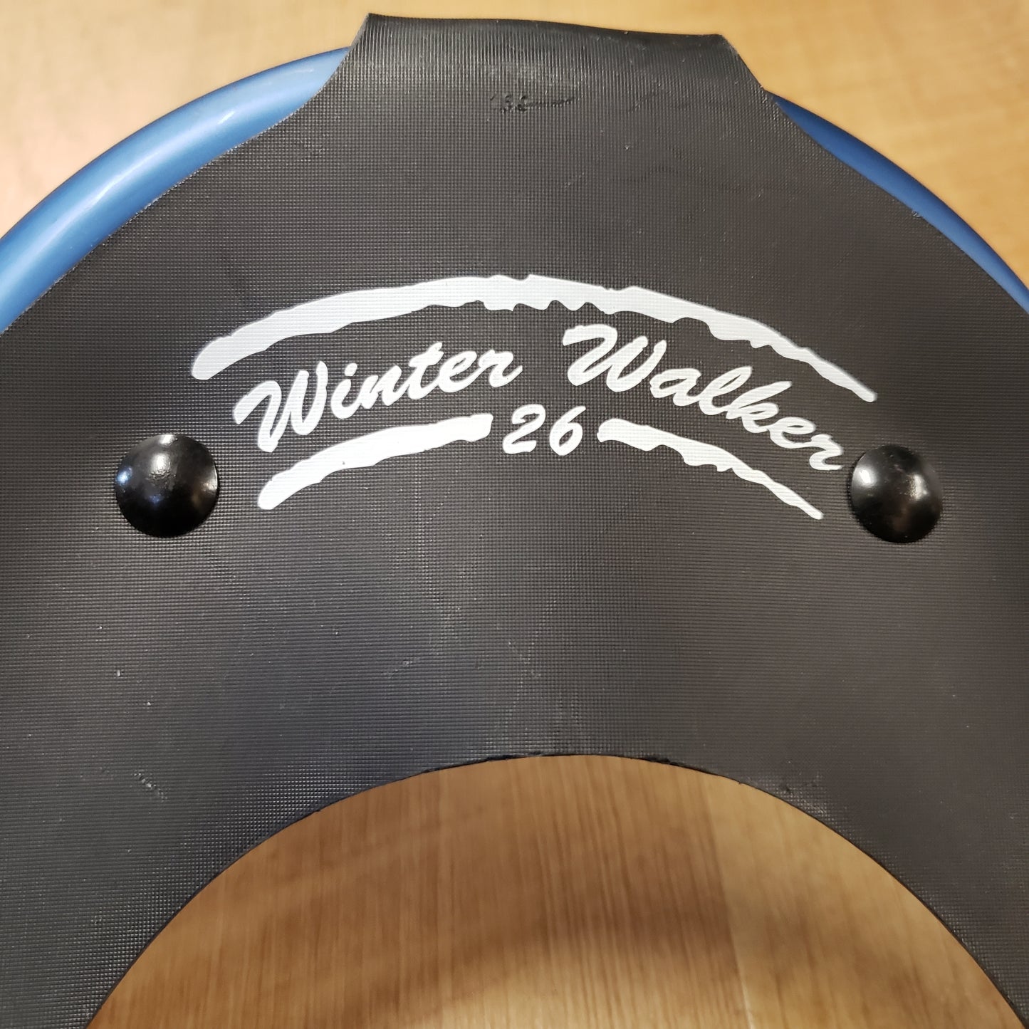 LL Bean Winter Walker Snowshoe