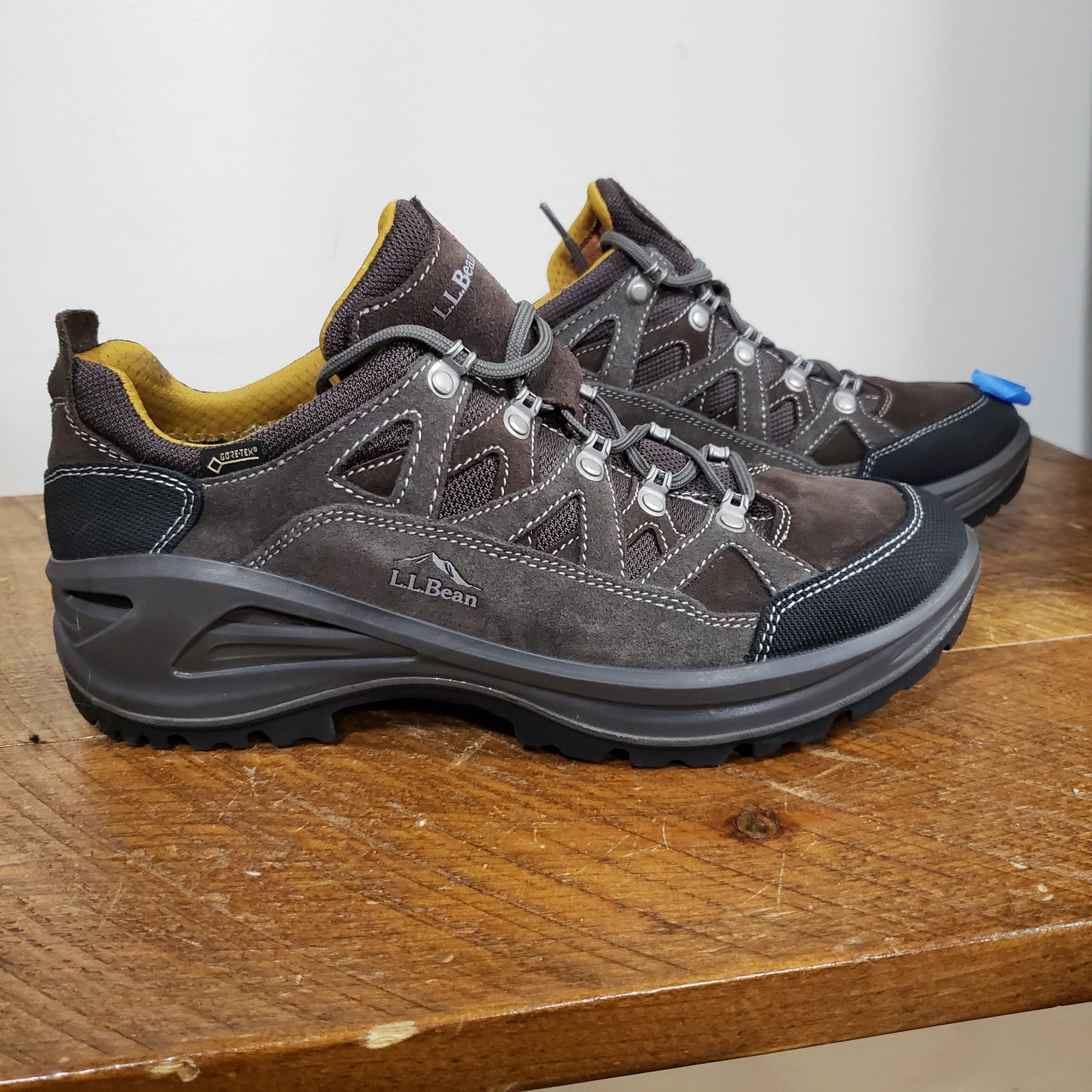 LL Bean Gore-Tex Low Hiking Shoes