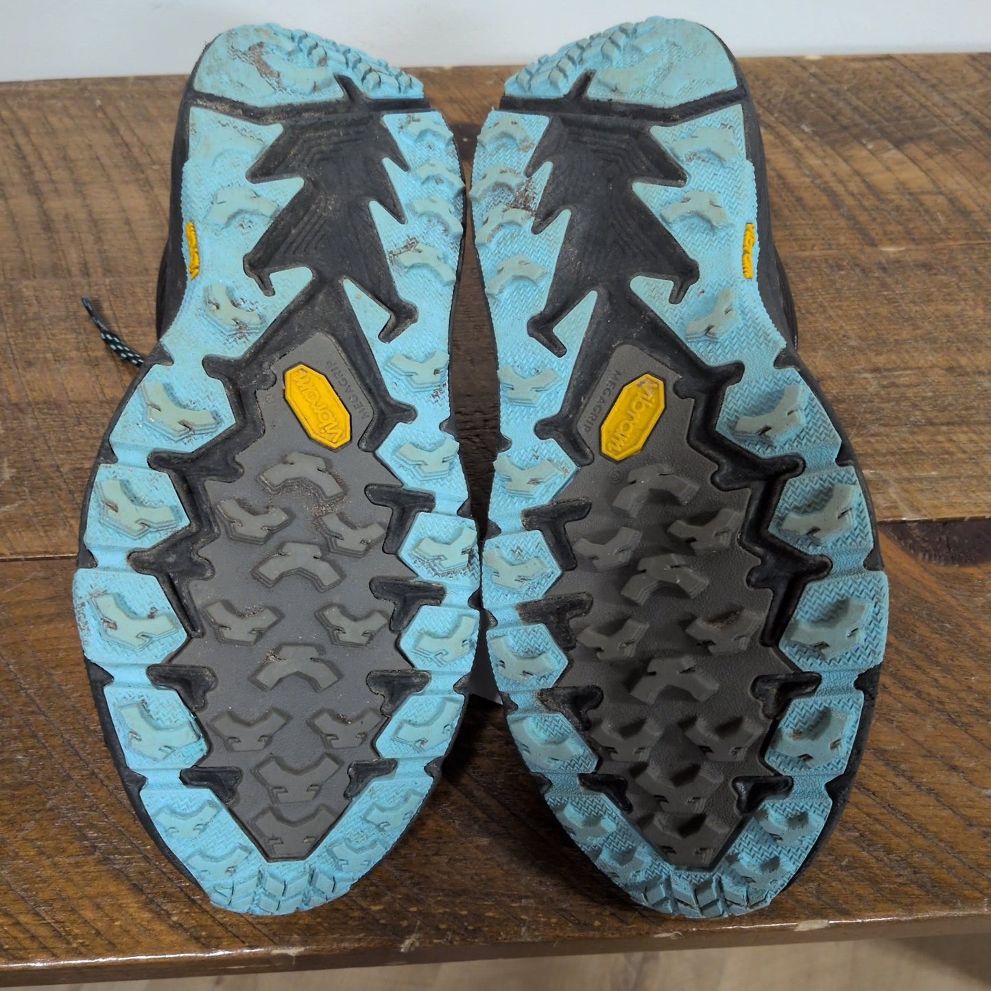 Hoka Speedgoat 4 GTX Trail Runners