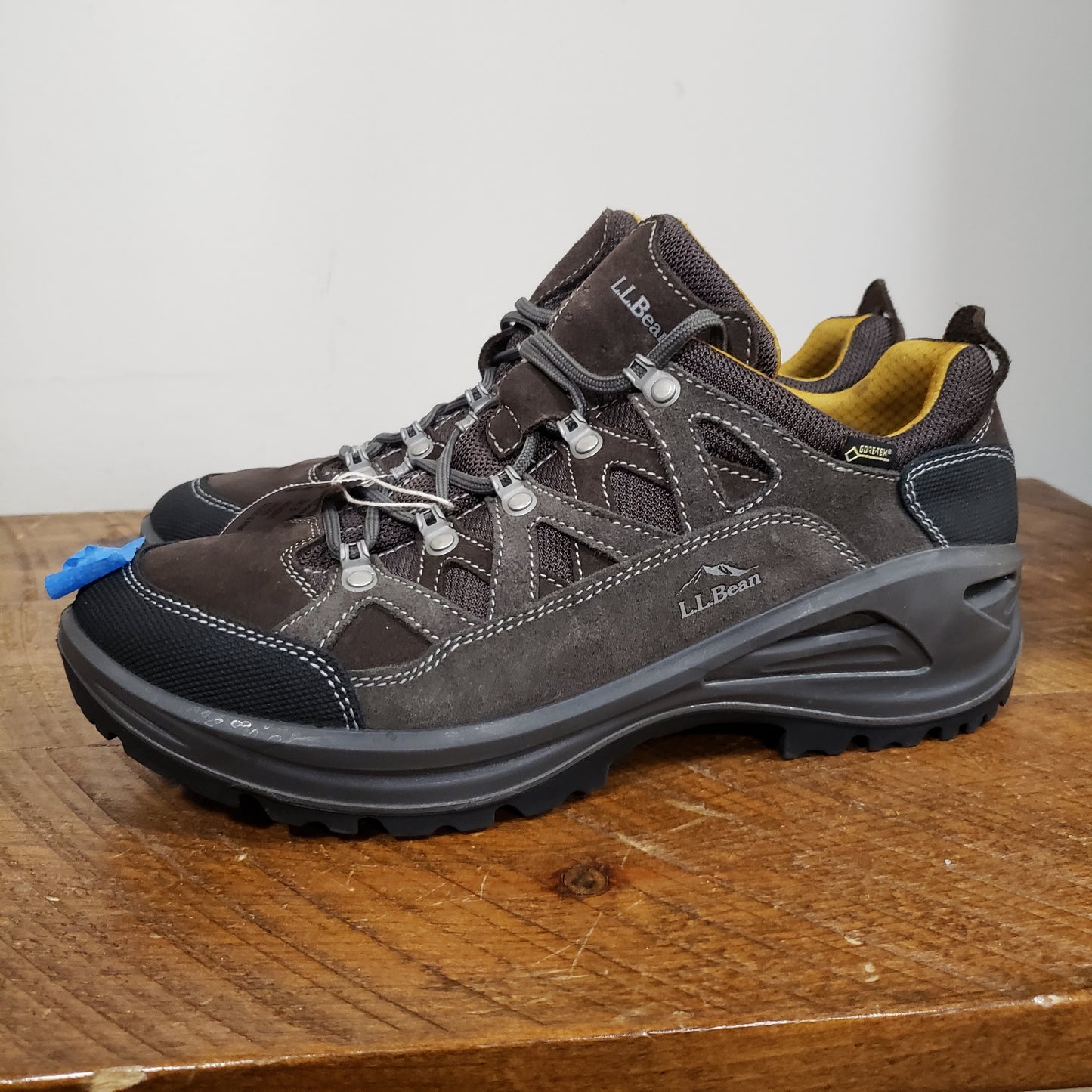 LL Bean Gore-Tex Low Hiking Shoes