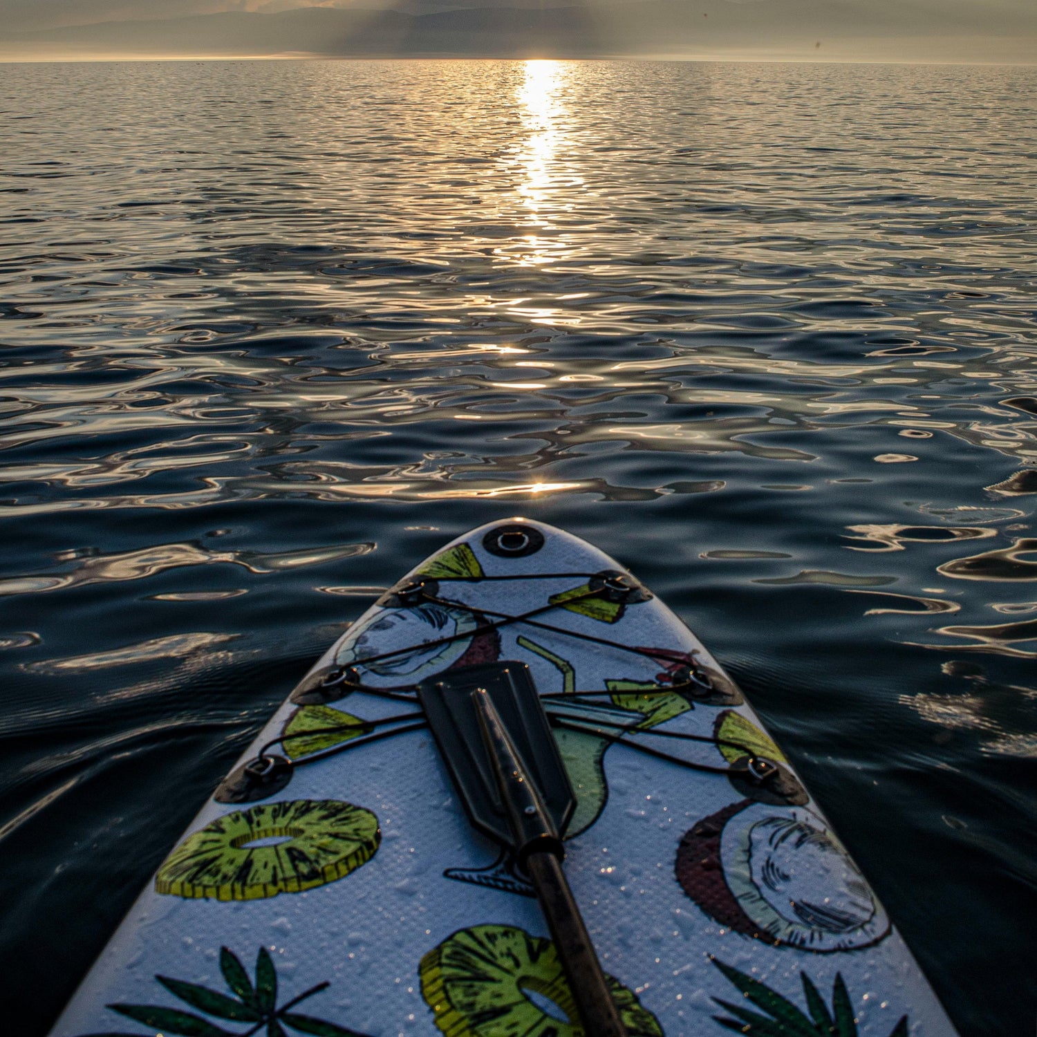 Paddleboard at sunset