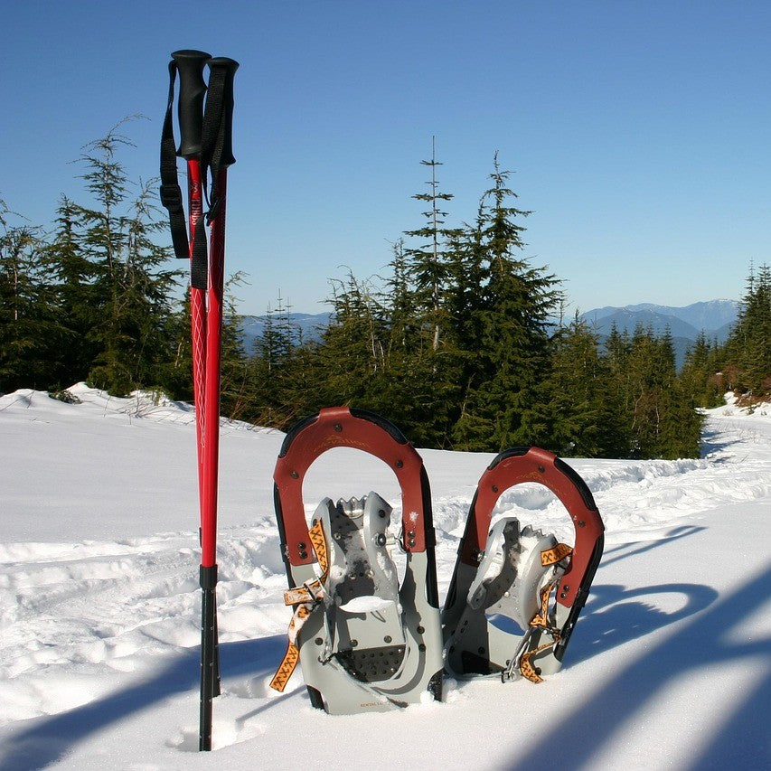 Snowshoes and poles