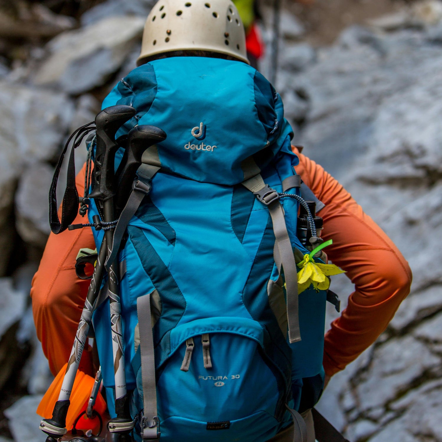 Large backpacking pack