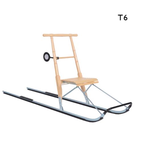 NEW ESLA Traditional T6  Kicksled