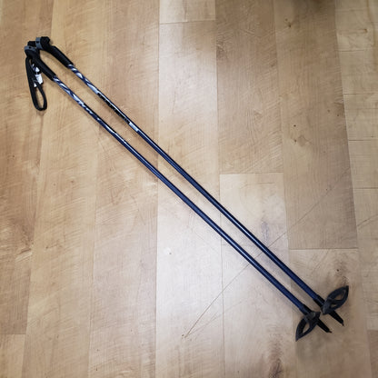 Swix Nordic Pole