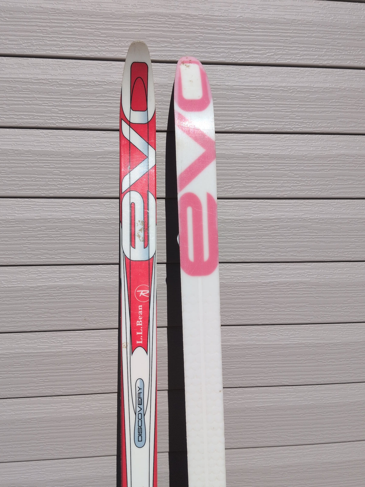 Rossignol Evo Discovery NNN Waxless Ski