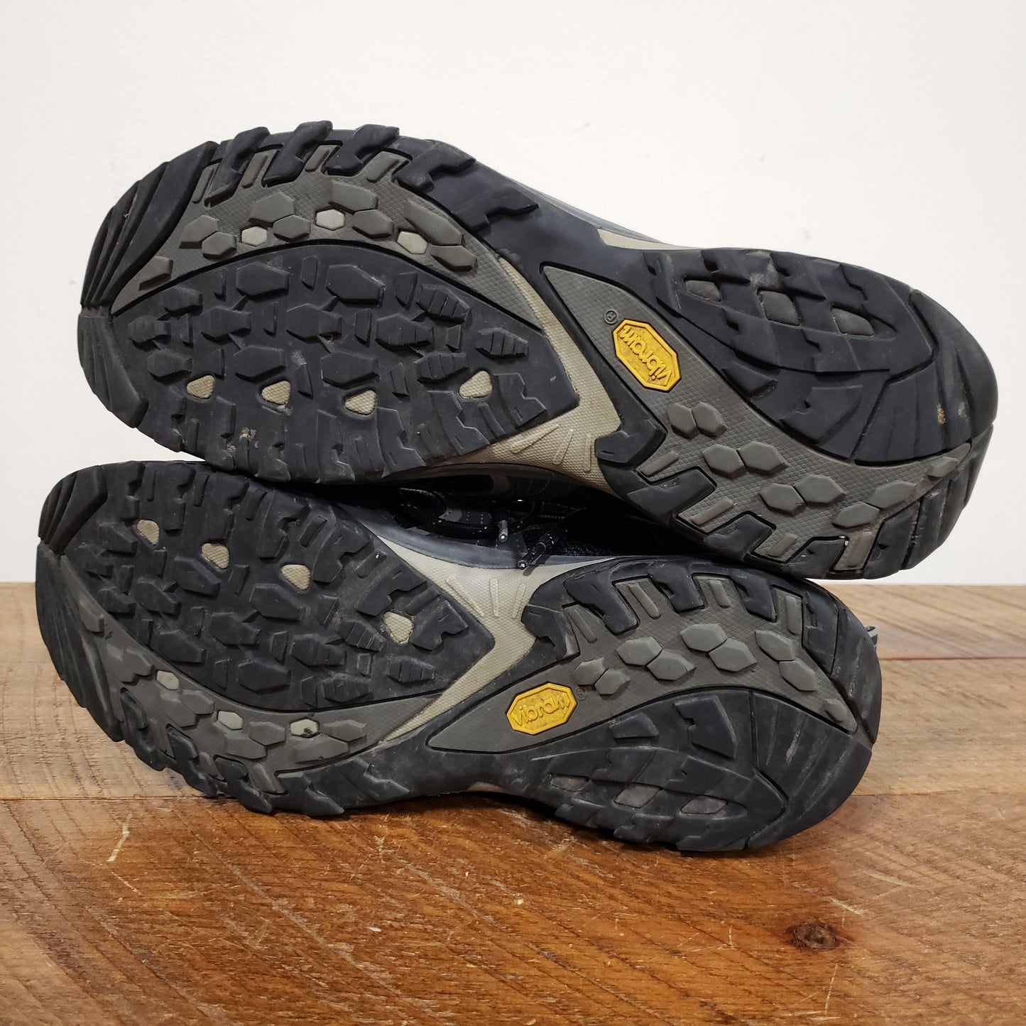 TNF Hedgehog III GTX Hiking Shoes