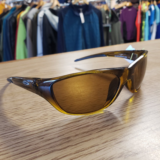 Smith Sunglasses w/ Black Case