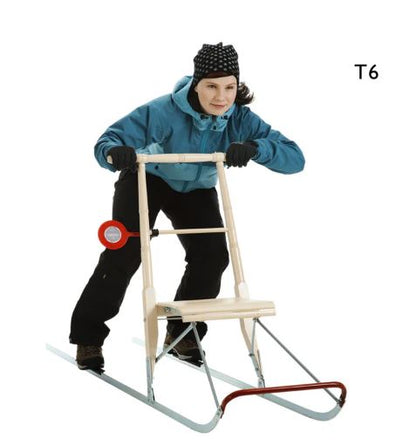 NEW ESLA Traditional T6  Kicksled