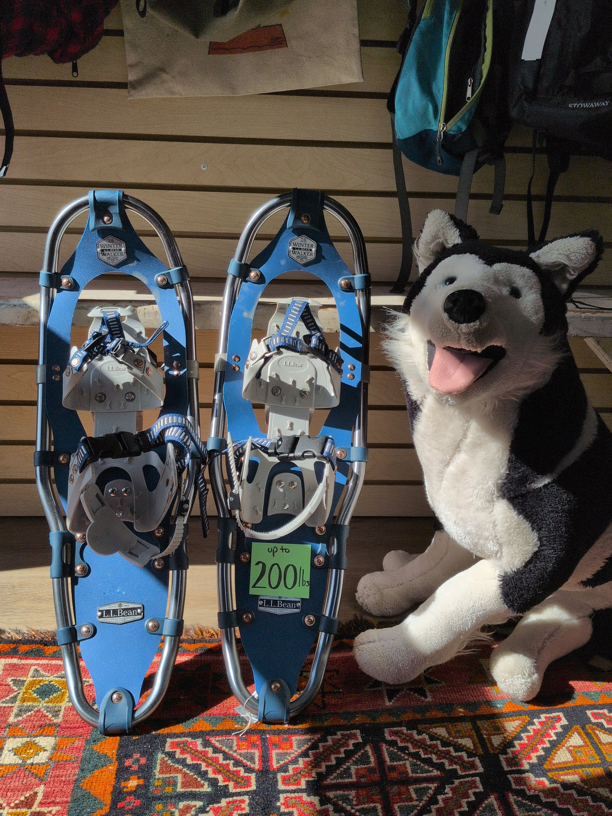 LL Bean Winter Walker 26 Snowshoe