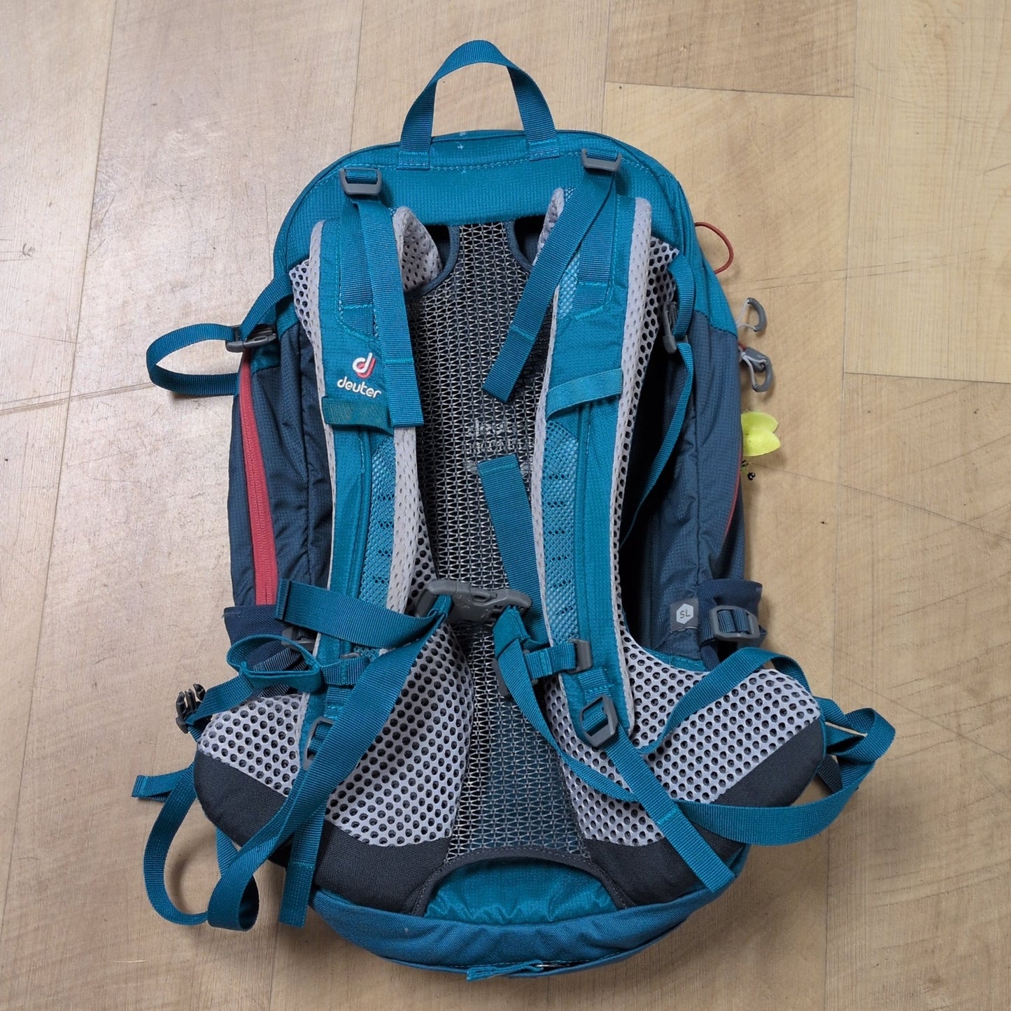 Deuter Futura 22SL Pack w/ Rain Cover (Torso Range 14-18")