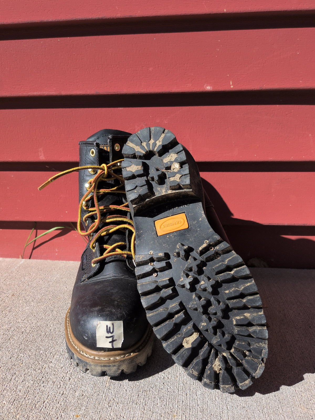 Carolina Wtpf Steel Toe Logger Boot