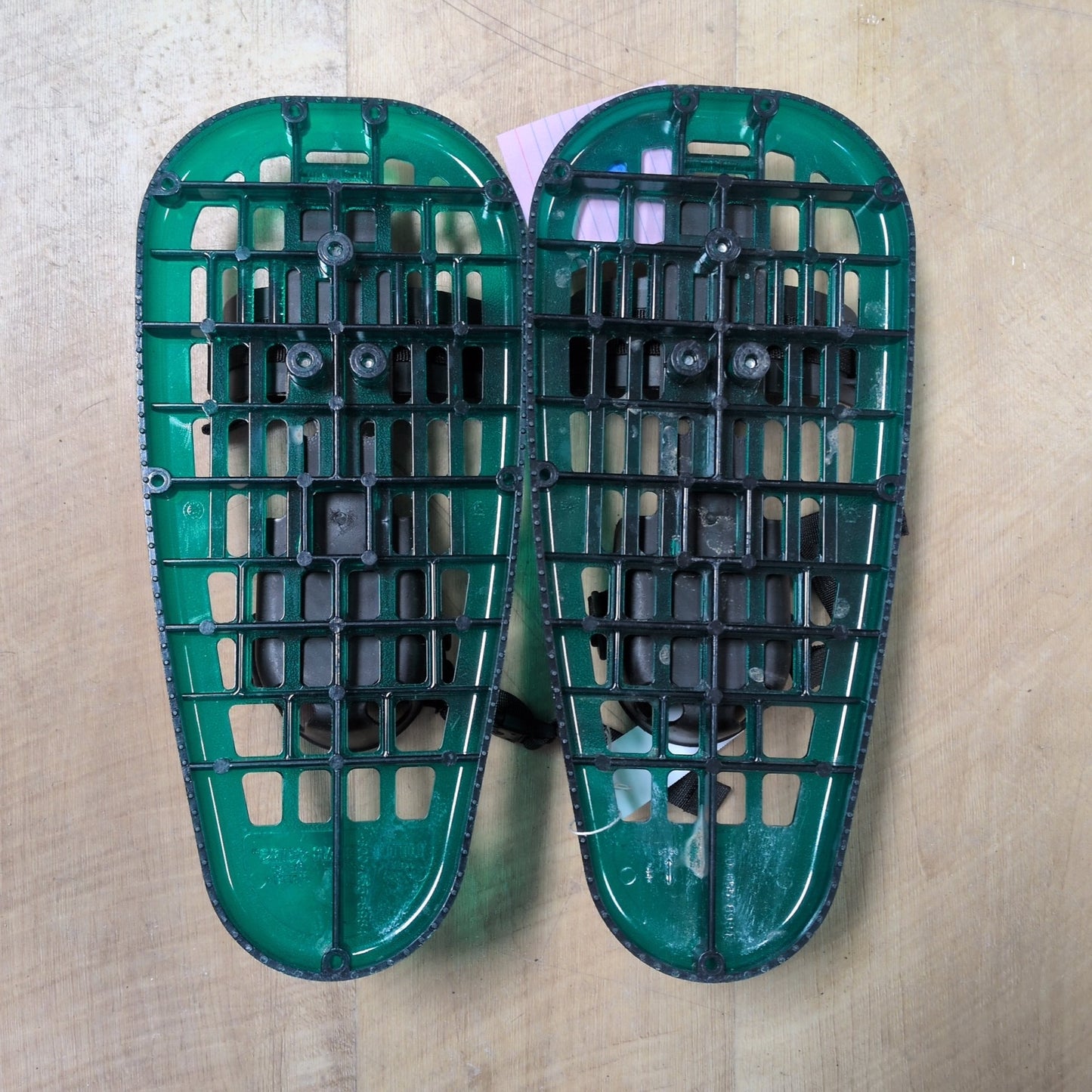 Little Bear Cub Youth Snowshoe