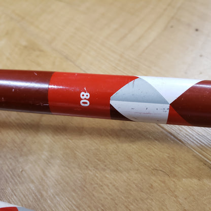 LL Bean Youth Nordic Ski Pole