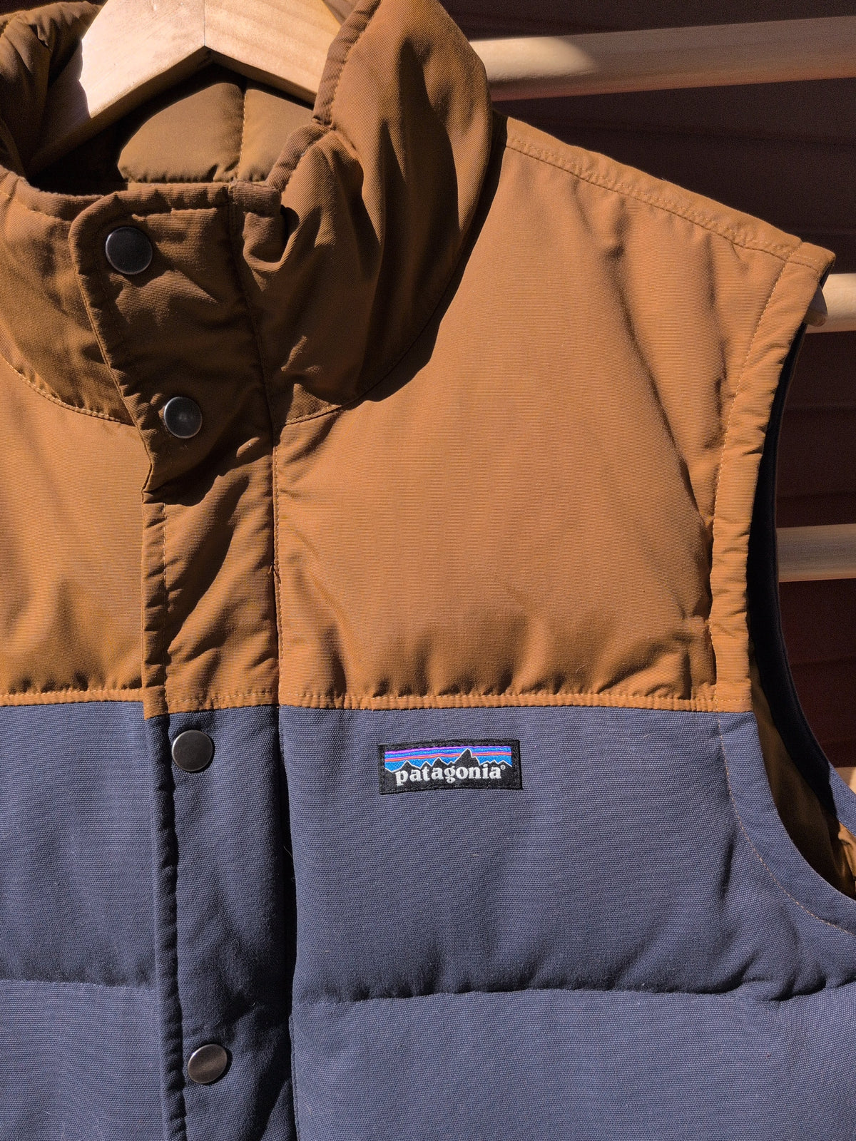 Patagonia Bivy Down Vest