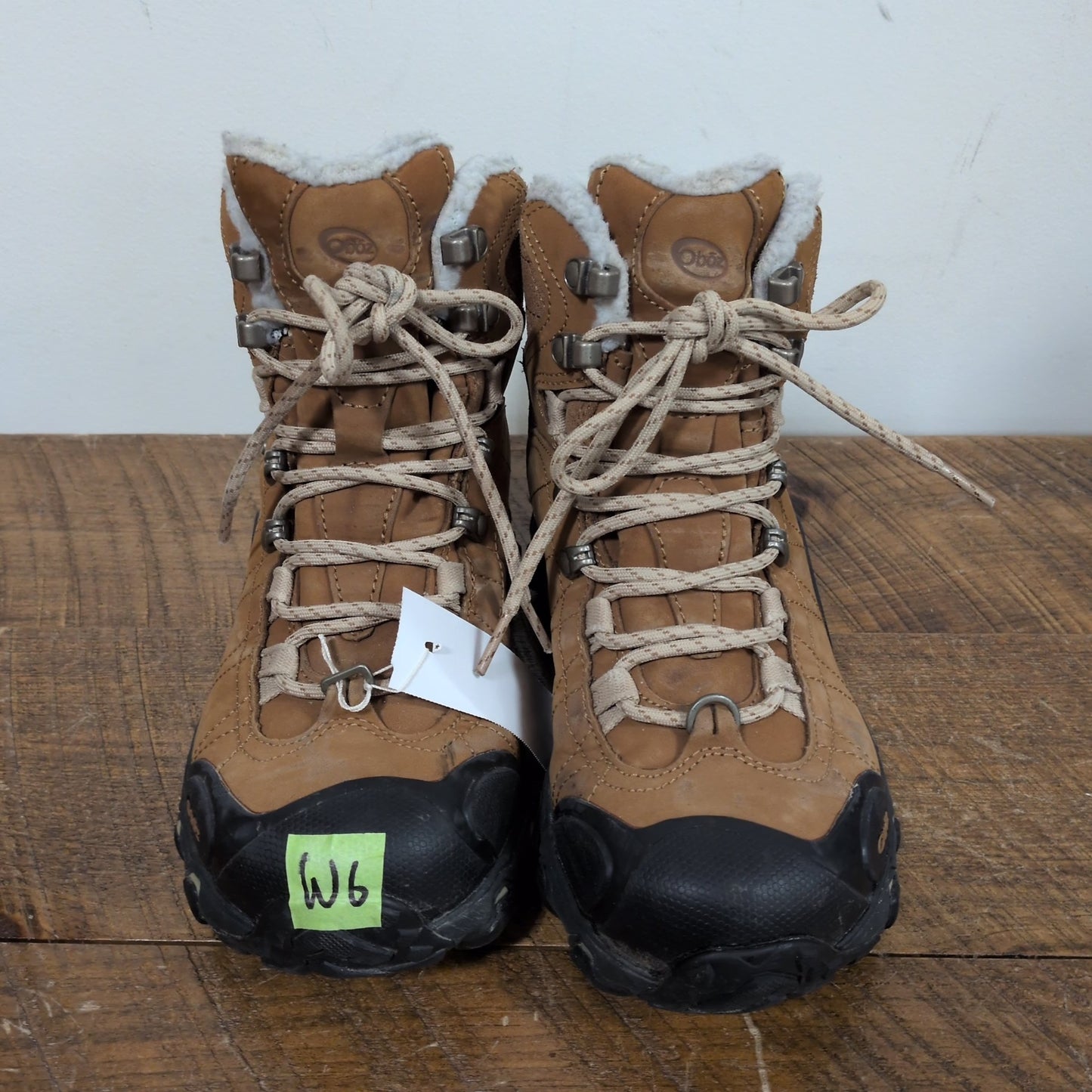 Oboz Bridger WP Hiker Boots