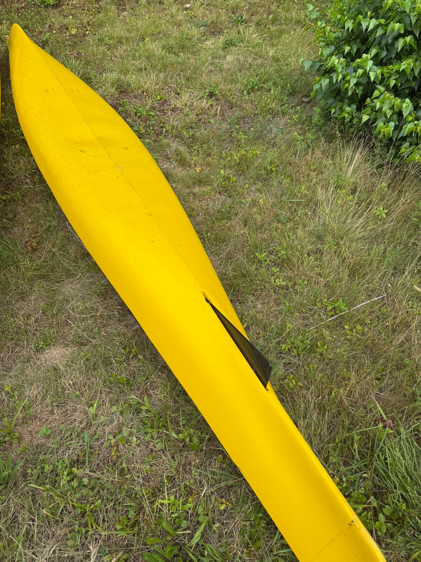 Wilderness Systems Tempest 170 Kayak