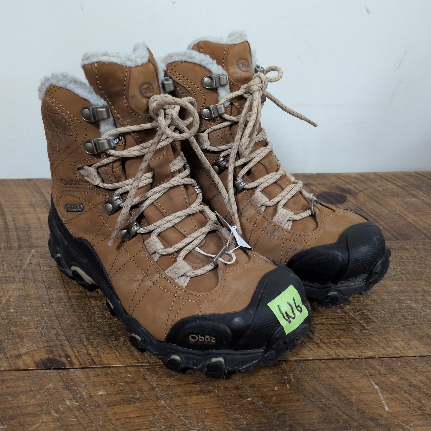 Oboz Bridger WP Hiker Boots