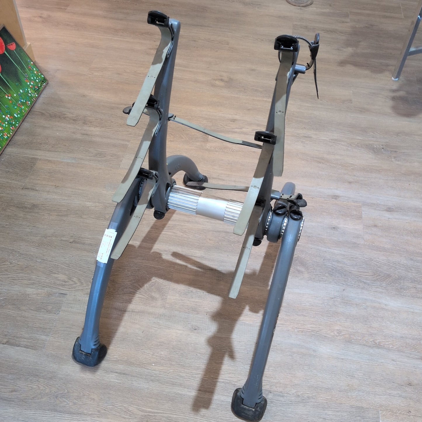 Saris Bicycle Trunk Rack