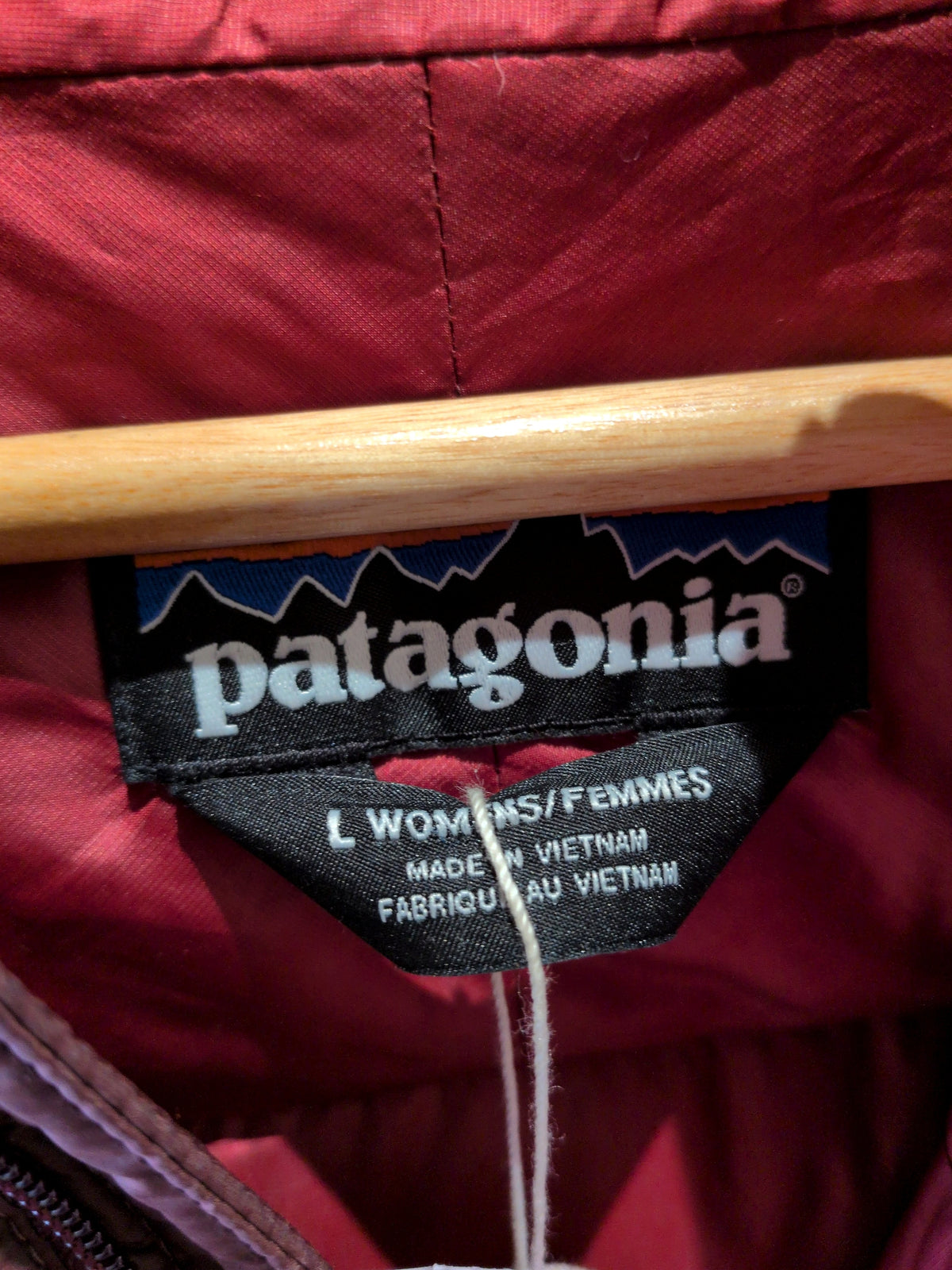 Patagonia Hi-Loft Down Hoody