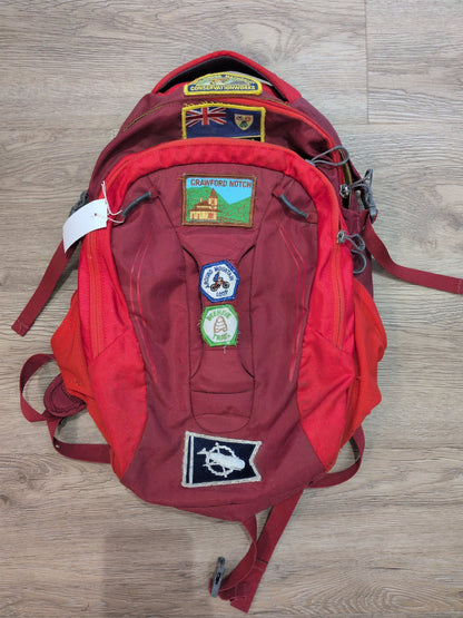 Osprey Pogo 24L Kids' Pack