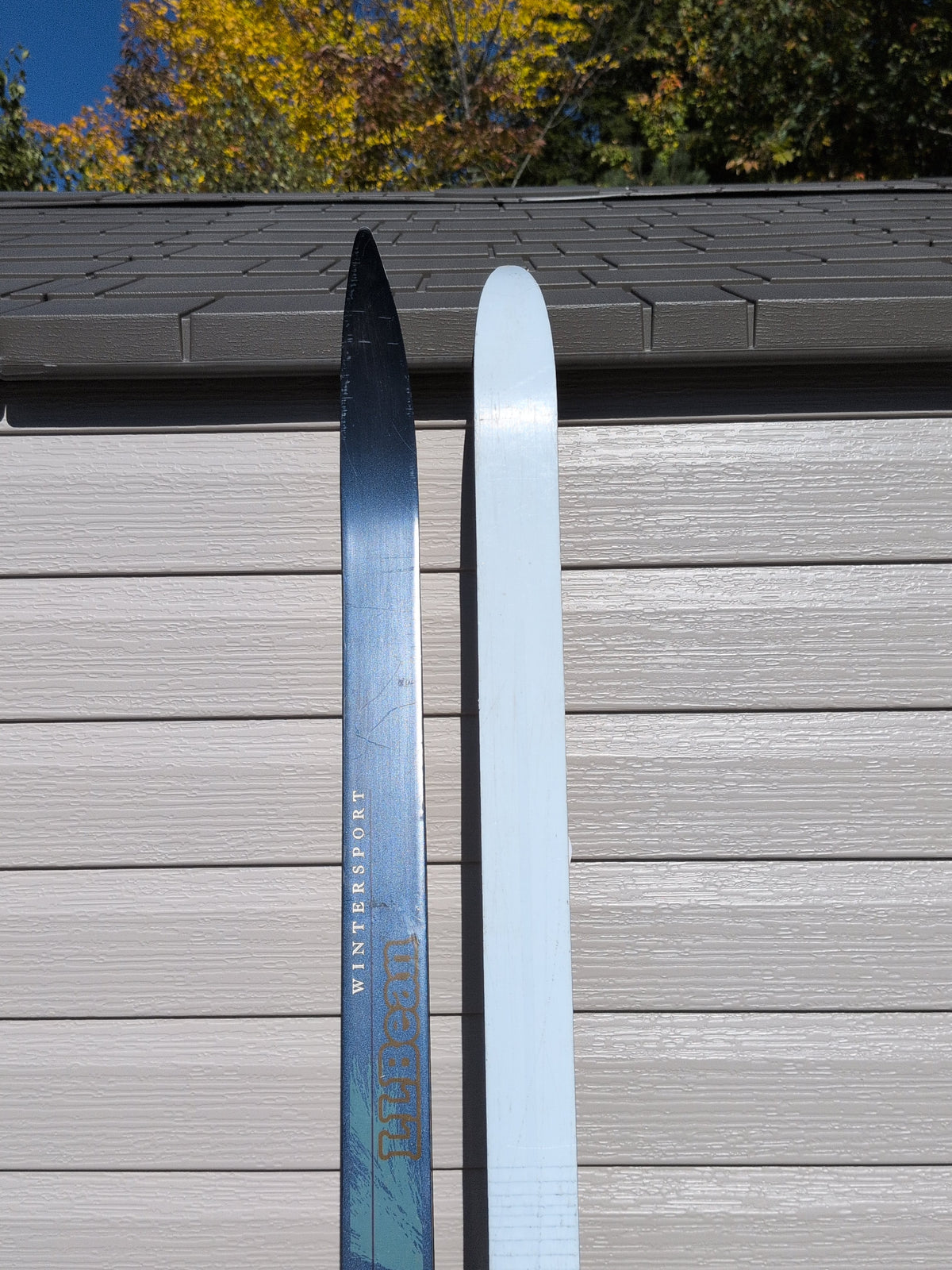 LLBean Wintersport NNN Waxless Ski*
