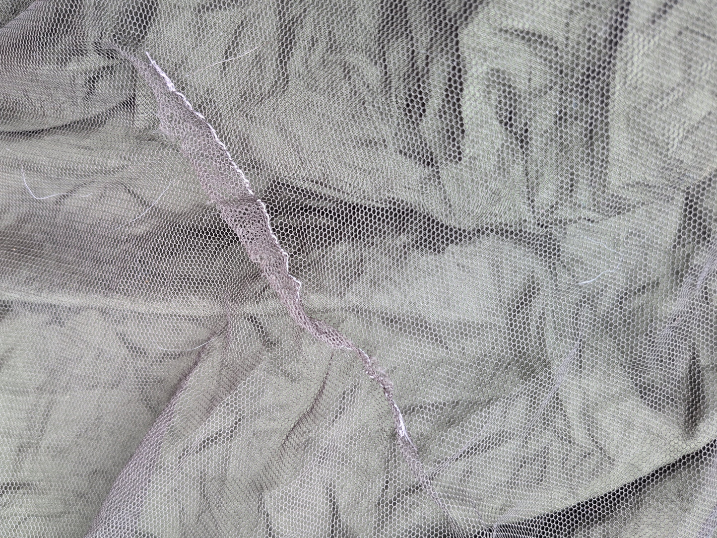 is Young Bug Hammock*