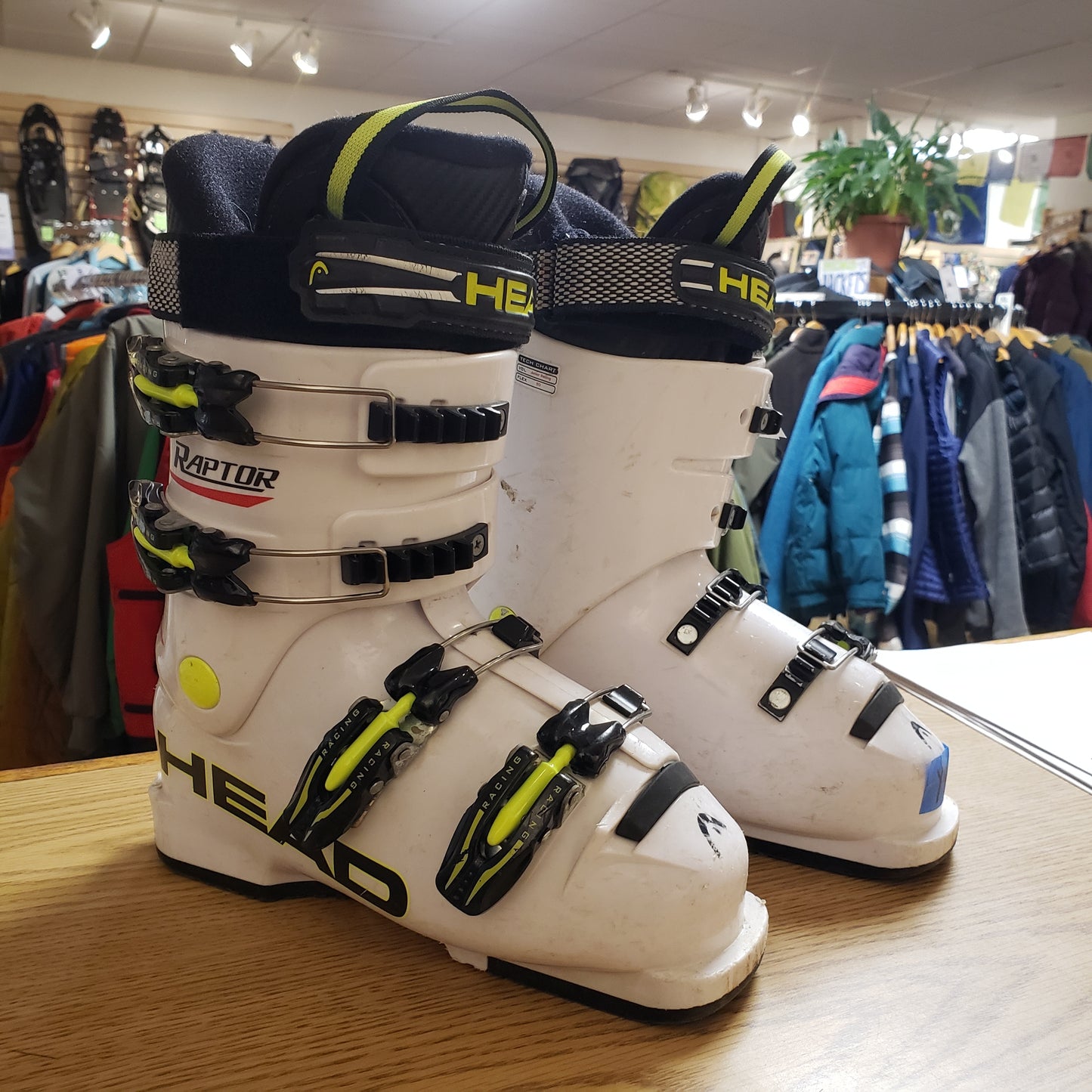 Head Raptor 50 Ski Boots (Youth 4-5)
