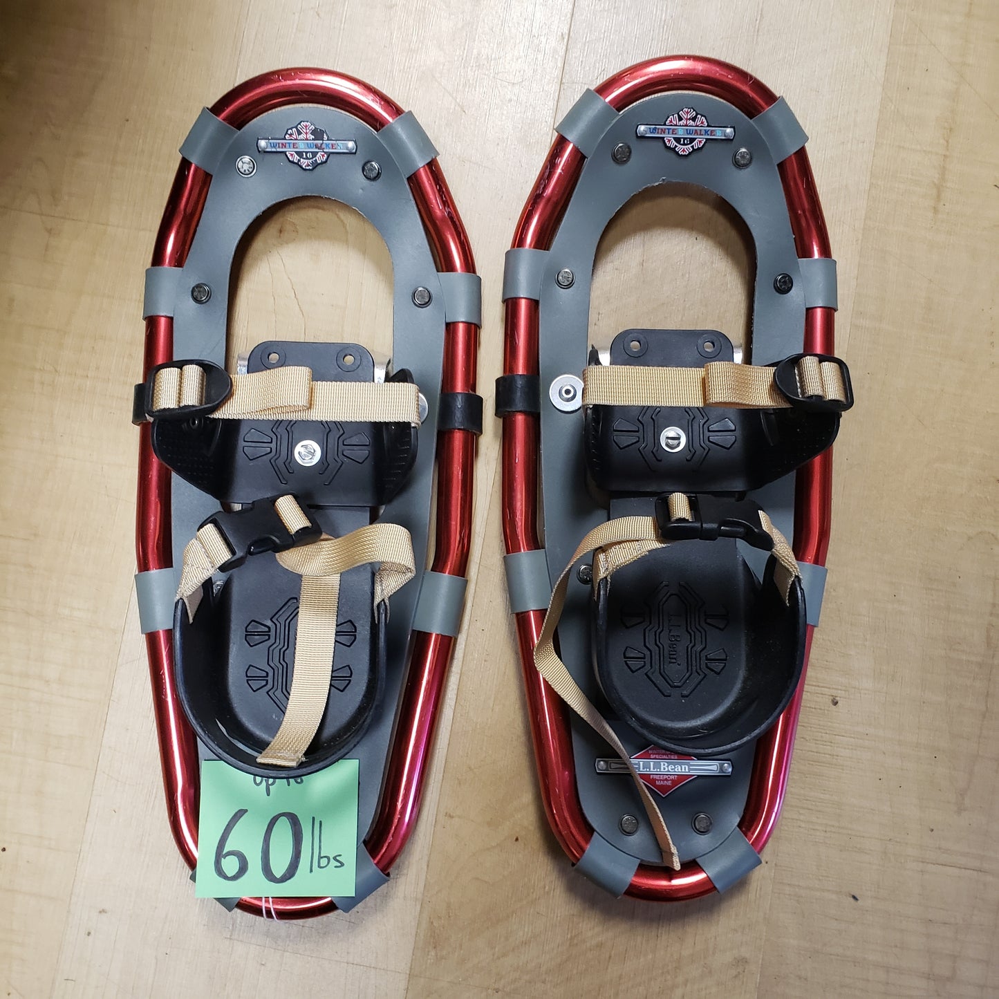 LL Bean Winter Walker Snowshoe 16"