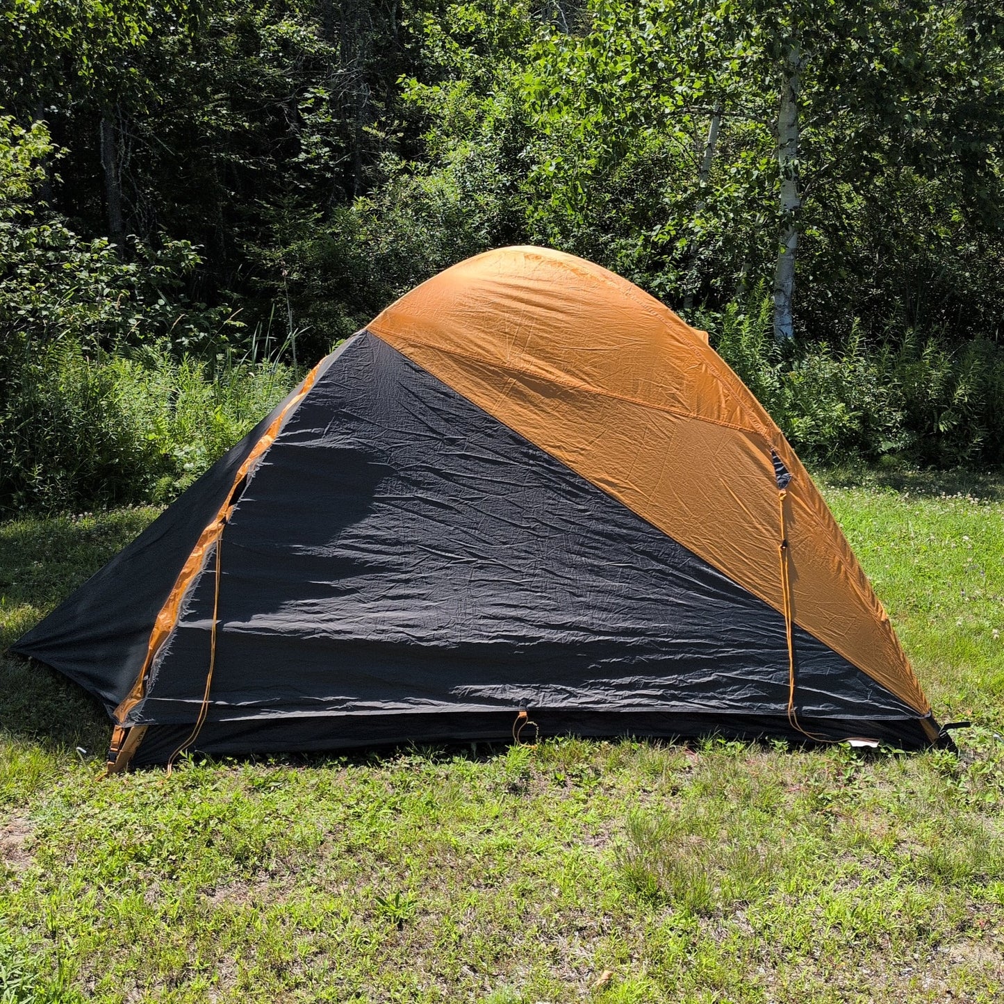 Kelty Grand Mesa 4 Tent