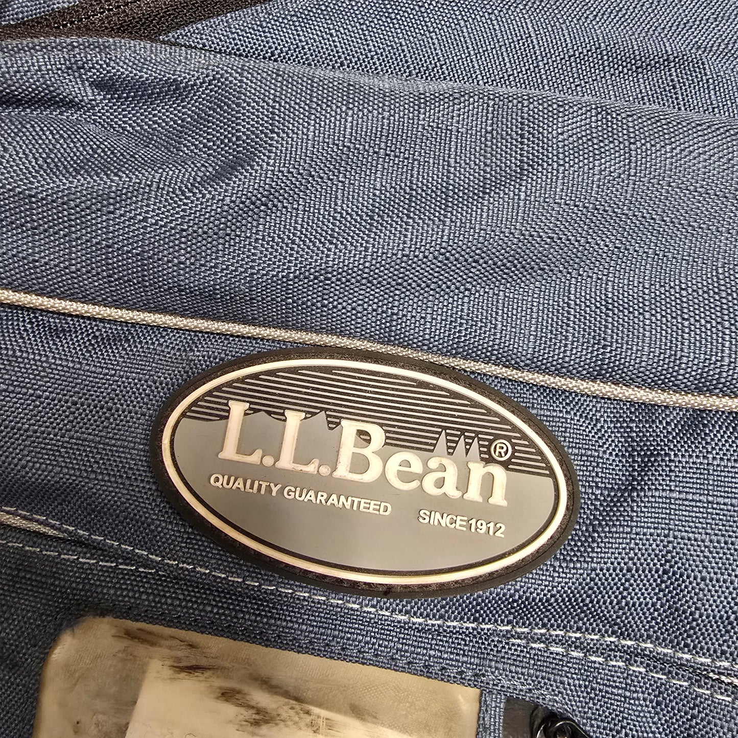 LL Bean Ski Bag