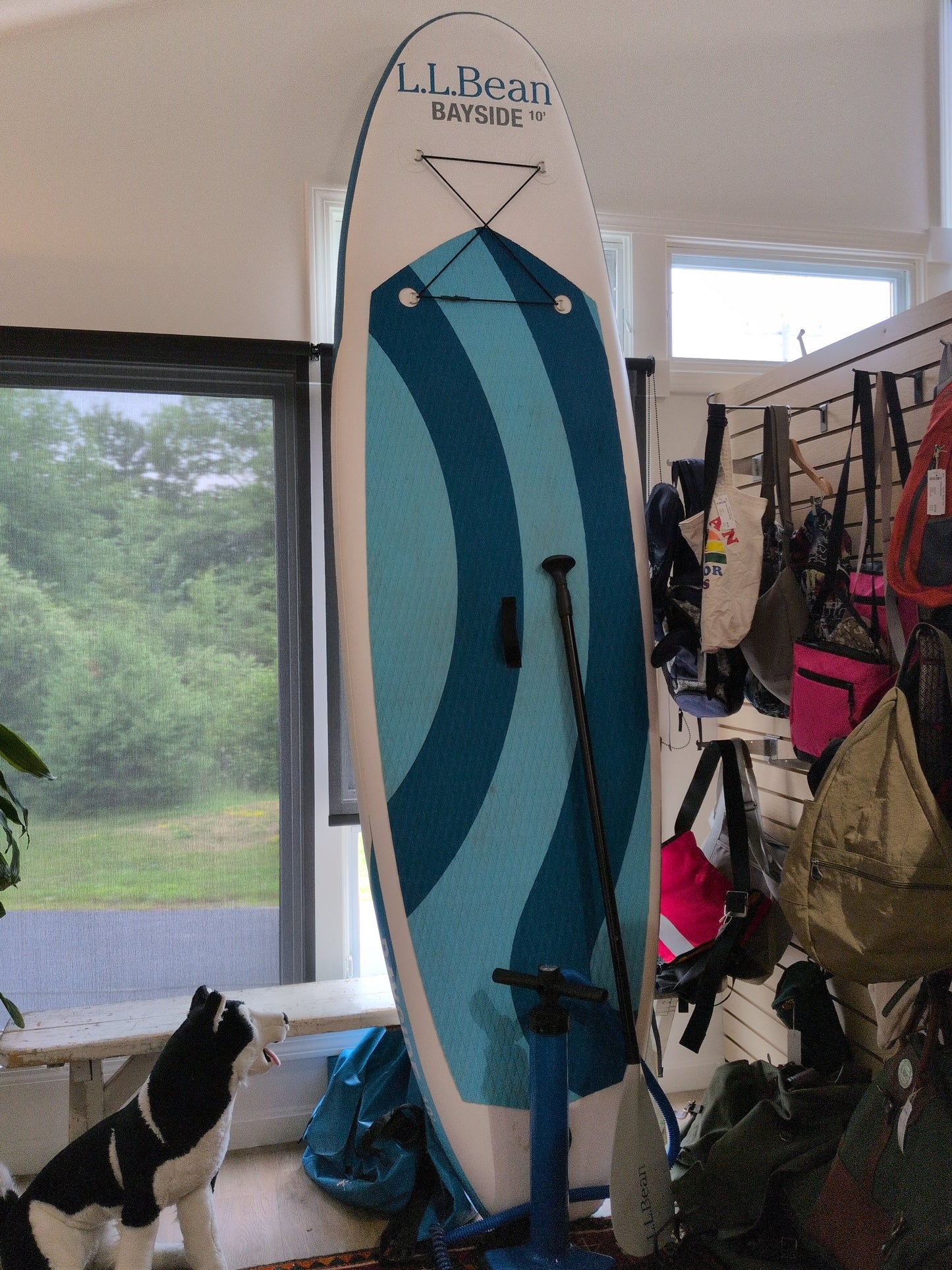 LLBean Youth Paddleboard/Paddle