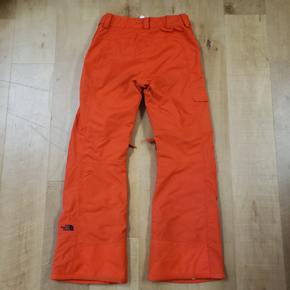 TNF Hyvent Freedom Snow Pants