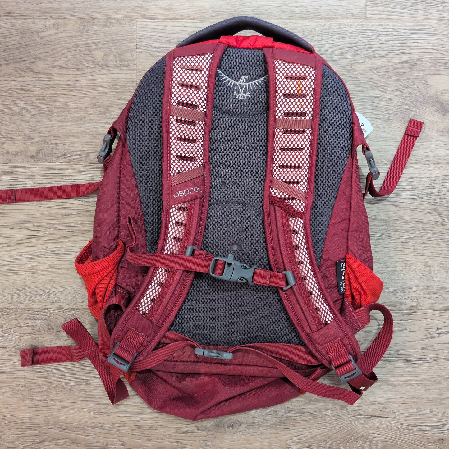 Osprey Pogo 24L Kids' Pack