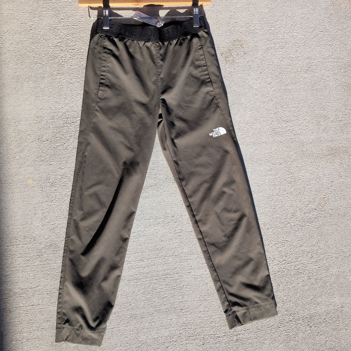 TNF Active Pant
