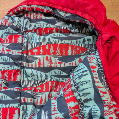 Big Agnes Little Red Youth Mummy Bag