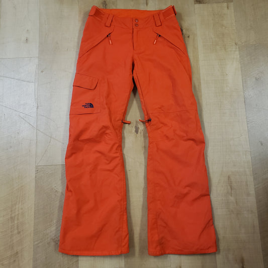 TNF Hyvent Freedom Snow Pants