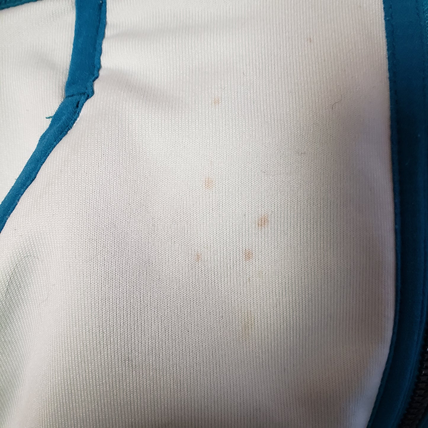 Patagonia Hybrid Down Vest*